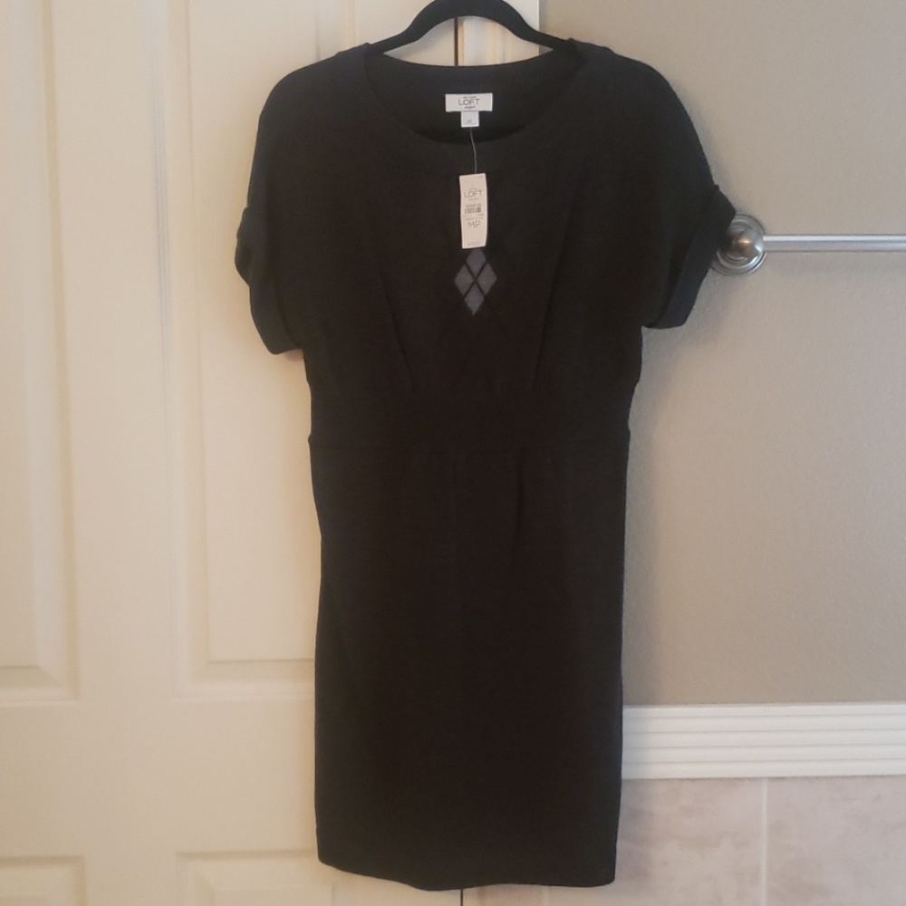 New Ann Taylor Loft Sweater Dress Never Worn